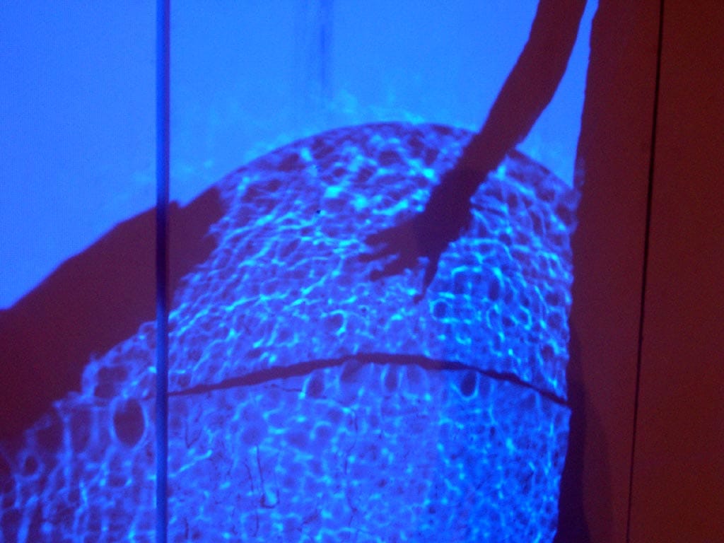 nanobots